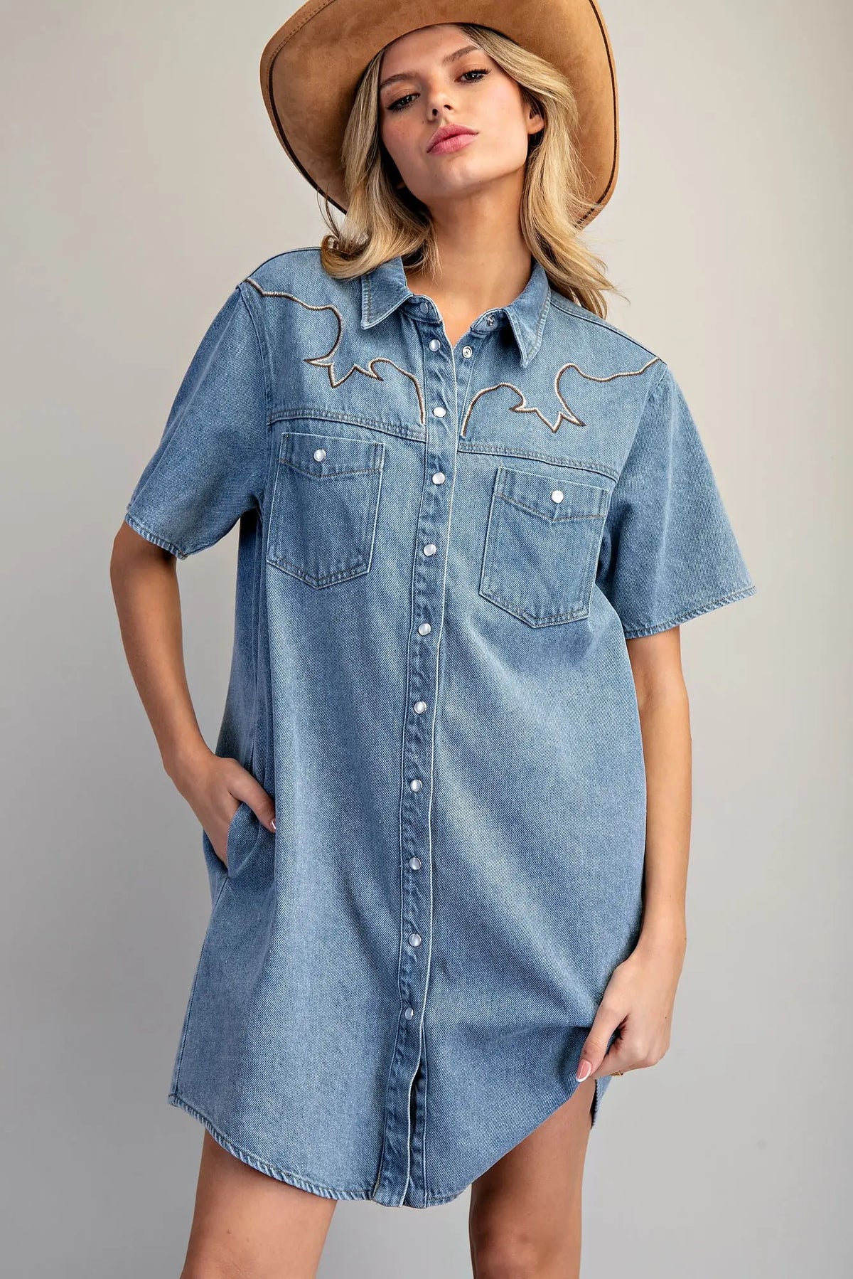 Clara Classic Denim Dress - KC Outfitter