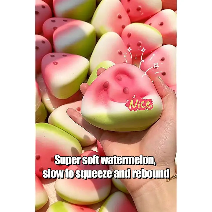 Watermelon Slow Rise Squishy