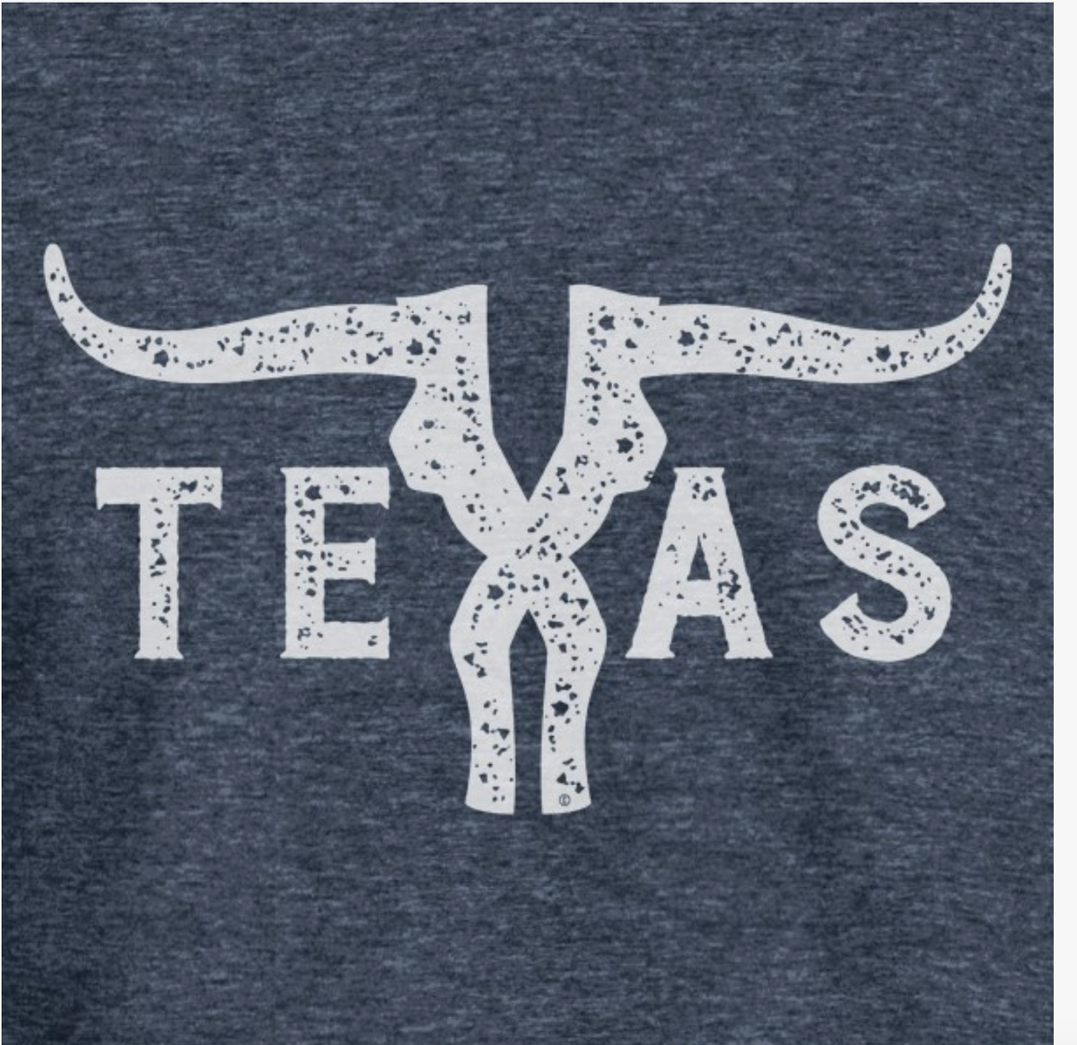 Texas Skull Tshirt