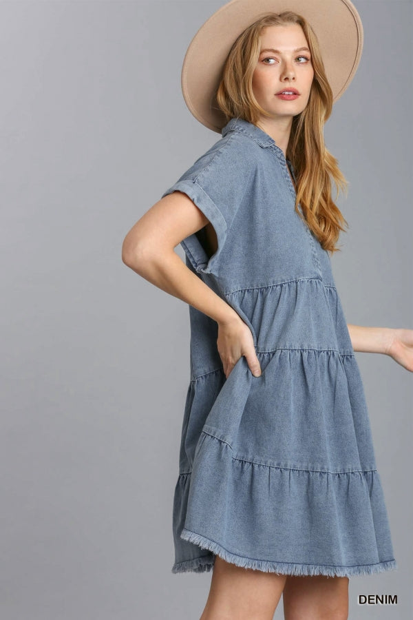 Blake Denim Dress Blake Denim Dress